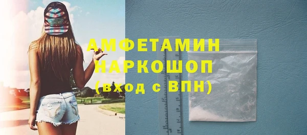 прущие грибы Ельня