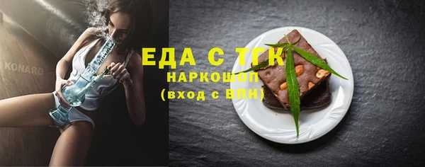 прущие грибы Ельня