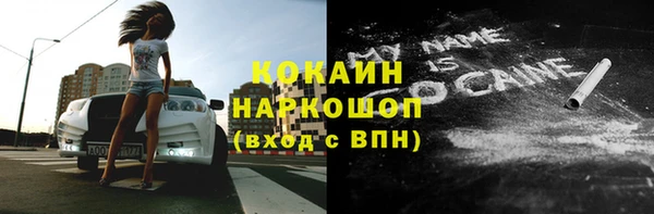 прущие грибы Ельня