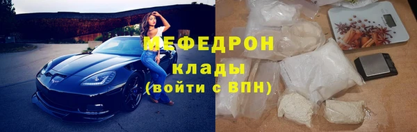прущие грибы Ельня