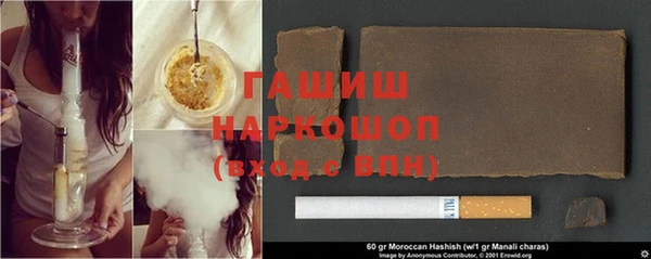 прущие грибы Заводоуковск