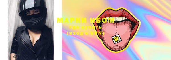 прущие грибы Ельня