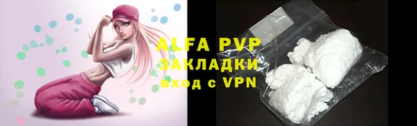 трава Инта