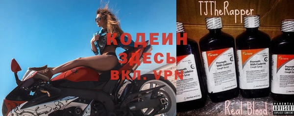 прущие грибы Ельня
