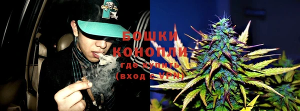 прущие грибы Ельня