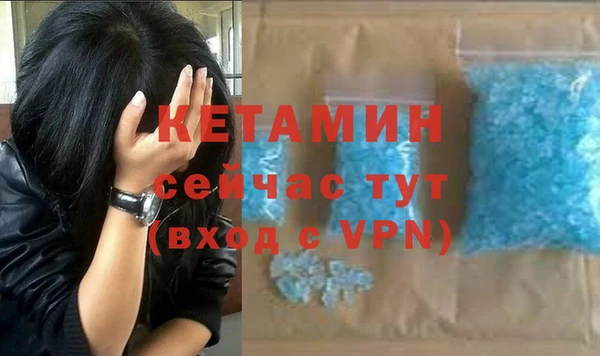 прущие грибы Ельня